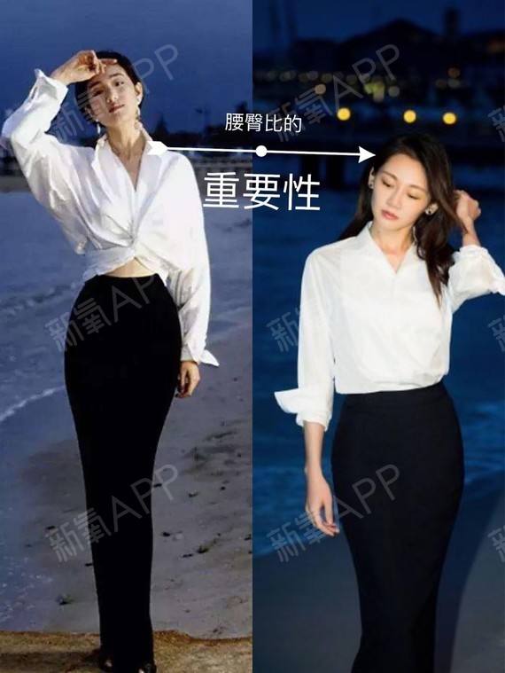 萌猫保卫战九游版下载