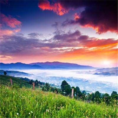 幻境缘uc官方版下载